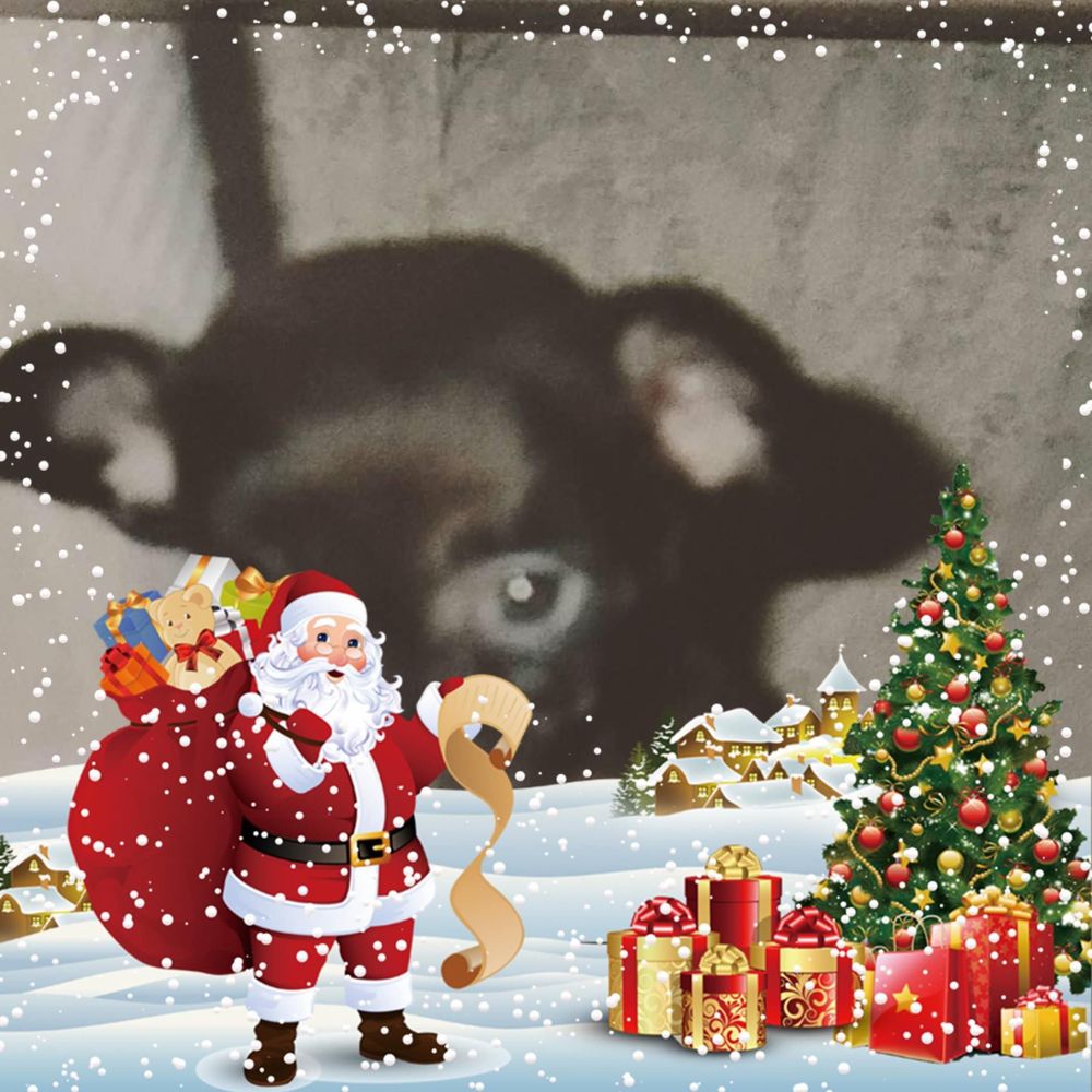 Meet your Posher, Lynn